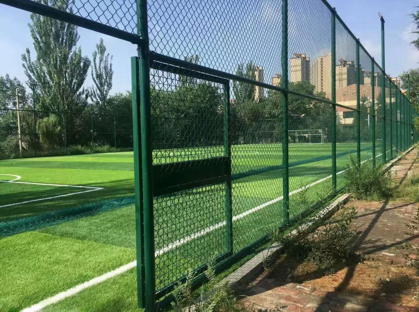球场7.jpg